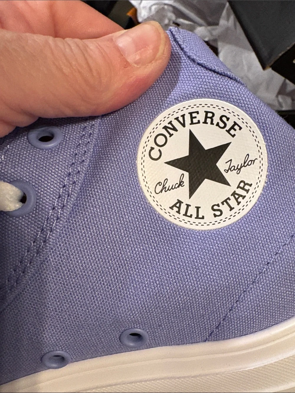 Converse Kids Lilac High-Top Canvas Sneakers